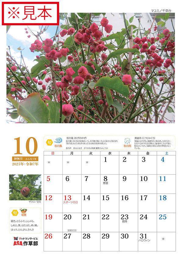 2026年花散歩カレンダー