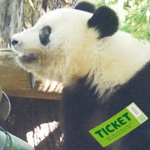 002. ハッピーチケット(上野動物園他)