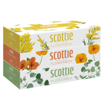 098. スコッティ ボックスティッシュ