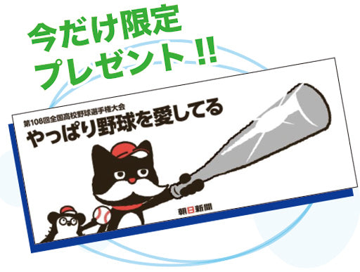 ナンバープレース＜7月号＞