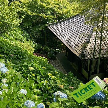 10.長谷寺&観音ミュージアム 無料観覧券
